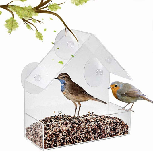 Acrylic Bird Food Bowl With Suction Cup Outdoor Room Type Bird Feeder