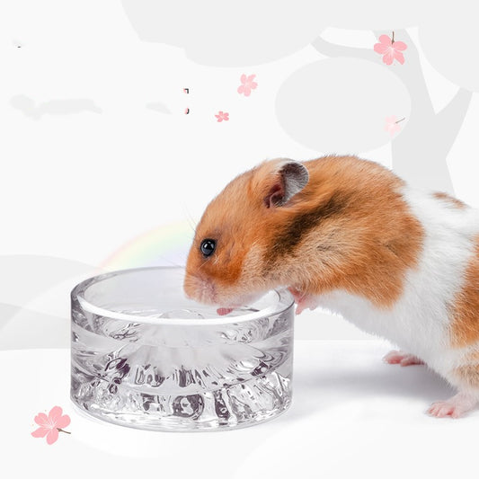 Hamster Golden Bear Glass Water Bowl Anti-lifting