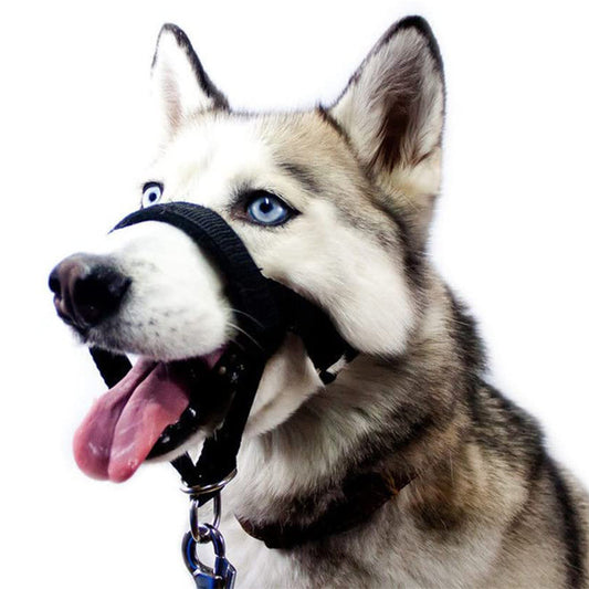 No-Pull Dog Muzzle, Adjustable