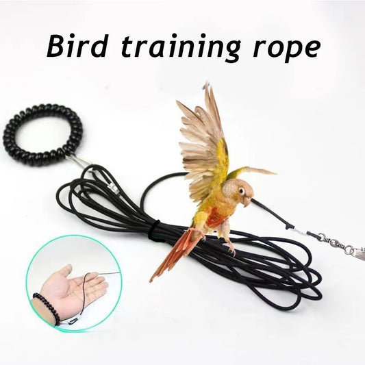 Pet Bird Outdoor Training Harness Rope Bird foot Chain Parrot Anti-flying Traction Straps Bird Feet Bracelet Alloy Foot Ring