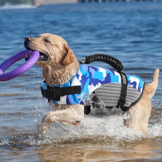 Life Jacket Swimming Clothes Corgi Golden Fur Chai Dog